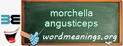 WordMeaning blackboard for morchella angusticeps